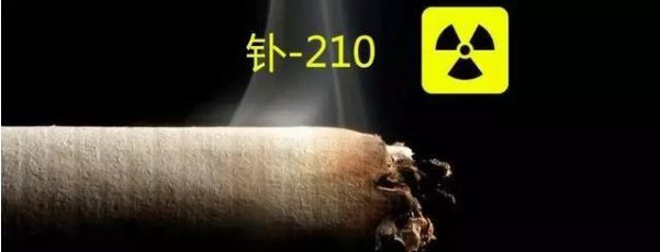 放射性物質(zhì)“α”“釙”表面污染探測器 放射性物質(zhì)“α”“釙”表面污染探測器